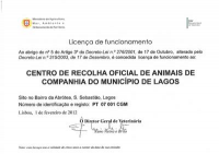 Animais de Companhia