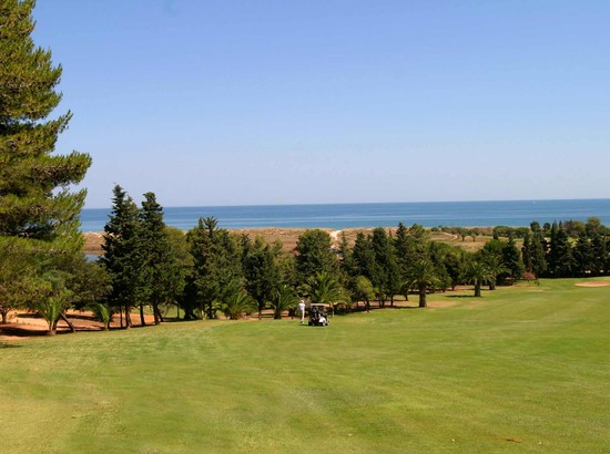 Palmares Golf
