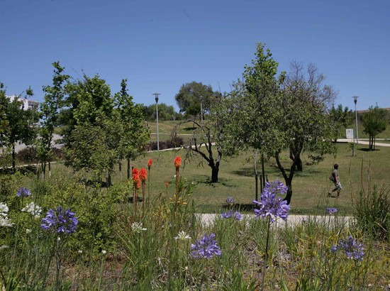 Parque da Cidade - Anel Verde