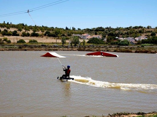 Wake Salinas