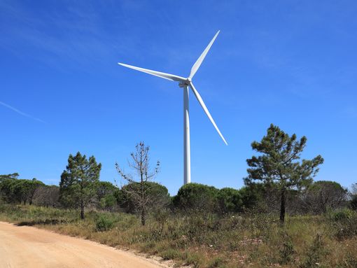 Câmara de Lagos aprova a criação do Conselho Municipal de Ambiente e Alterações Climáticas
