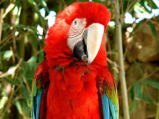 Câmara Municipal de Lagos apoia Zoo de Lagos