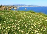 Ponta da Piedade