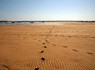 Vale da Lama/Ria de Alvor
